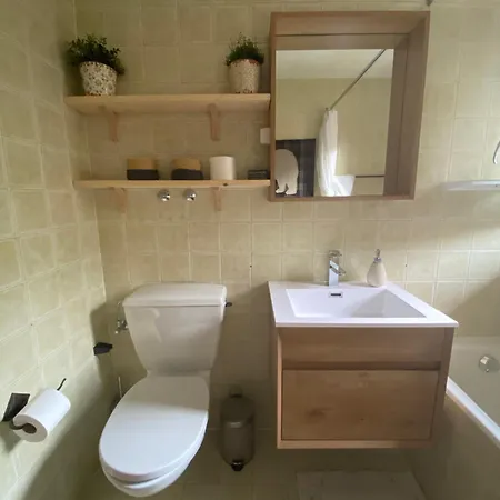 Wonderful Overlooking The Swiss Alps Chateau-d'Oex