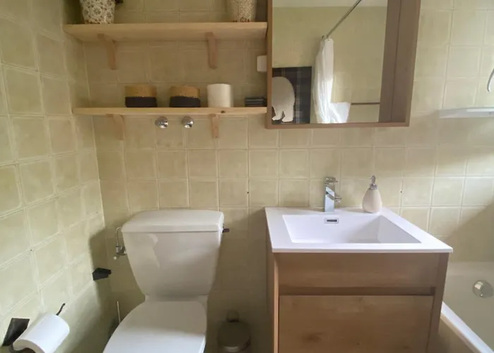 Wonderful Overlooking The Swiss Alps Chateau-d'Oex