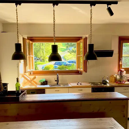 Wonderful Overlooking The Swiss Alps Chateau-d'Oex